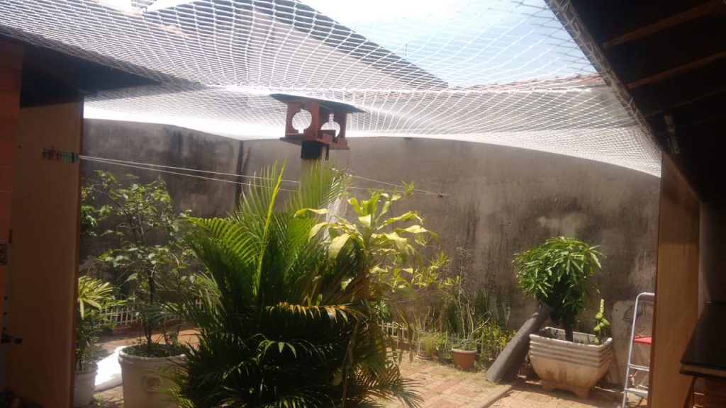 Sob demanda — imagem 1 de 14