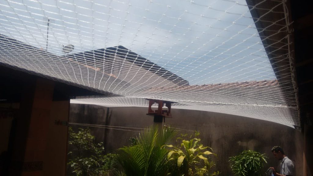 Sob demanda — imagem 2 de 14